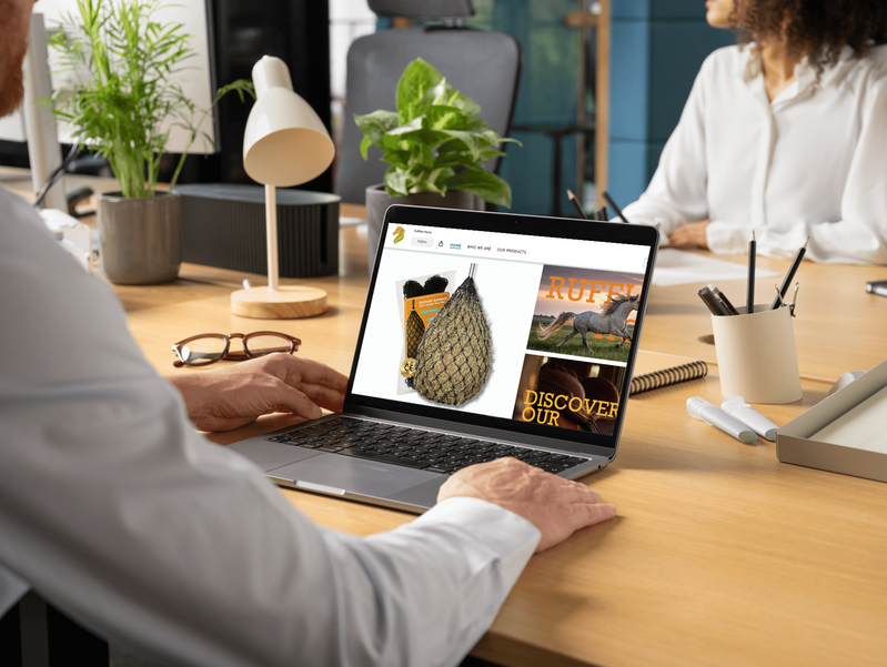 Persona revisando productos de Amazon FBA en una laptop